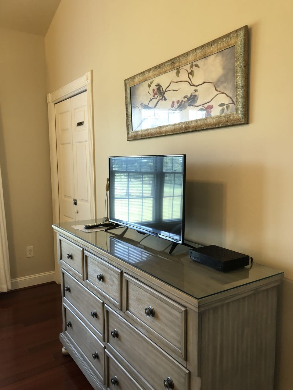 TV and dresser in primary bedroom.