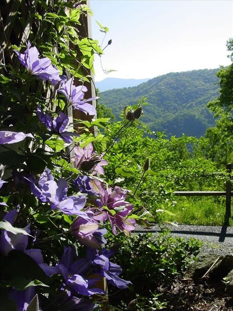 Quiet and peaceful!!