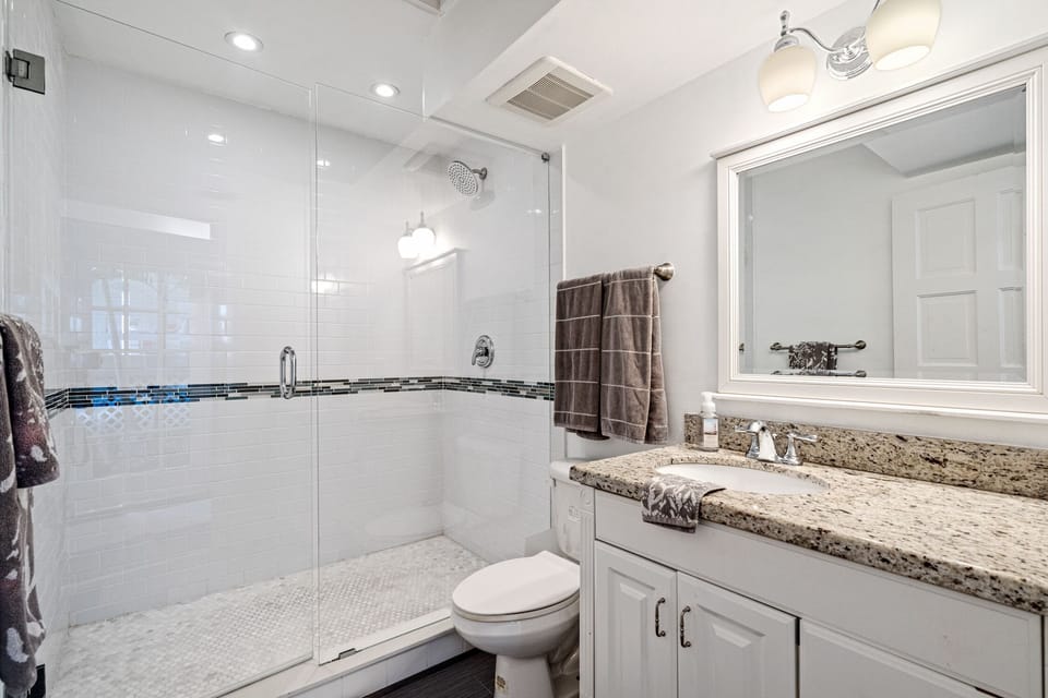 Downstairs bathroom with walk-in shower