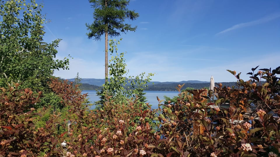 View from property