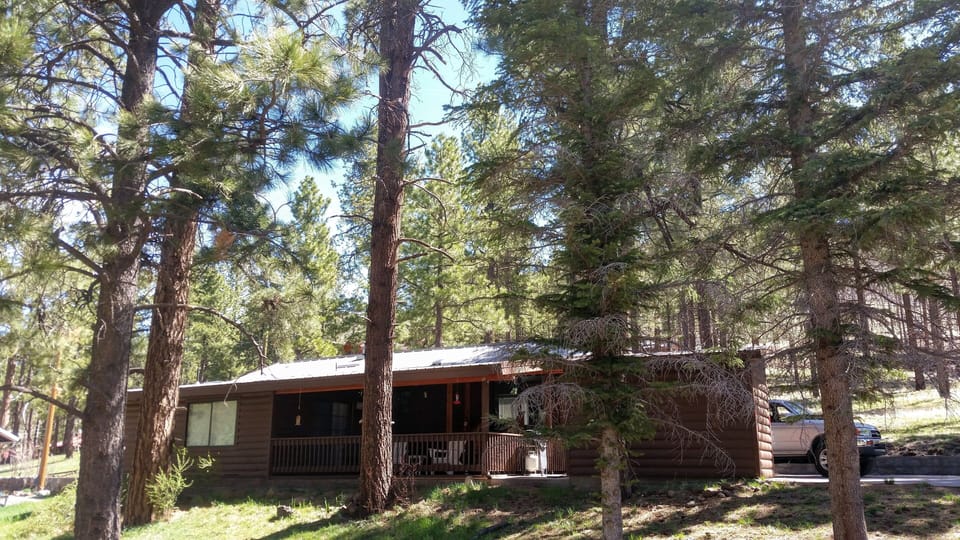 View from the stream.  