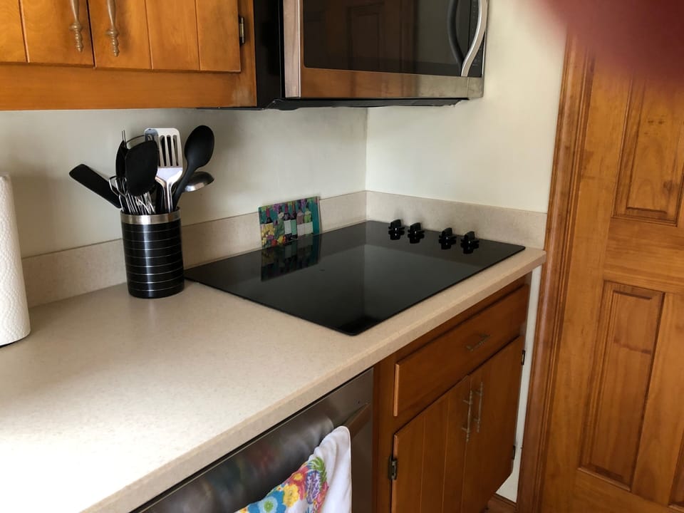 Electric stove