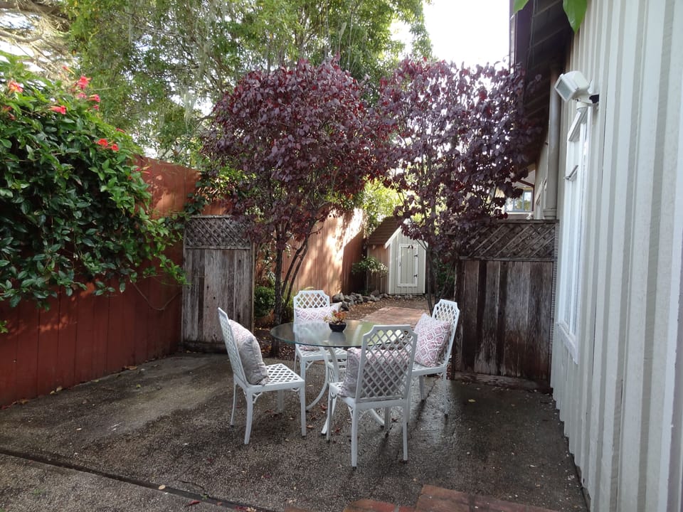 Charming Backyard