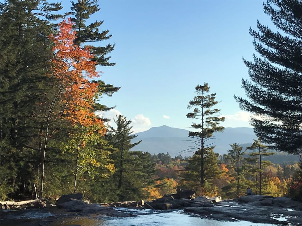 Jackson falls