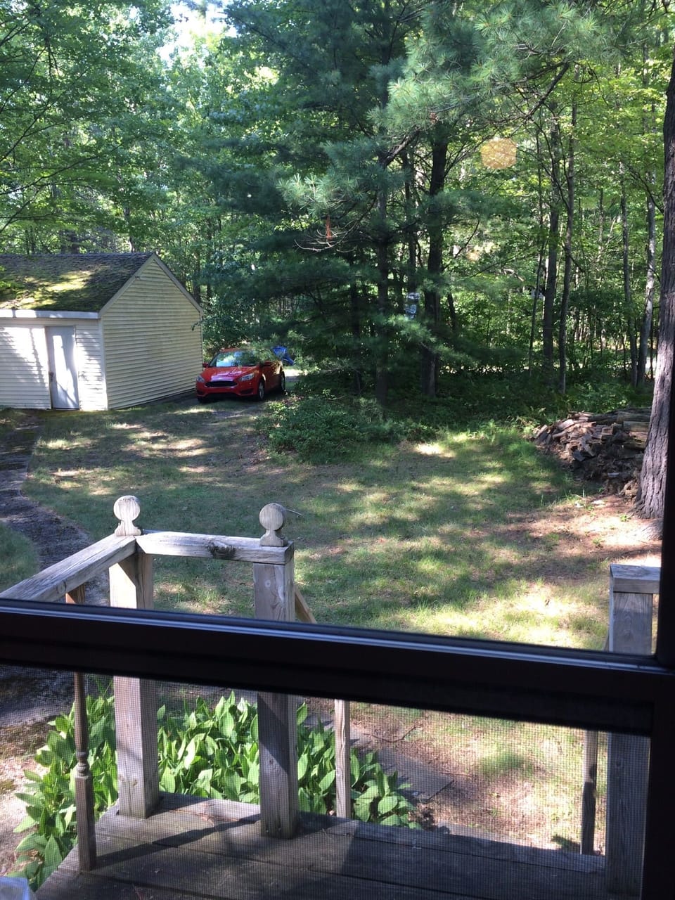 On a quarter acre, Lots of trees and privacy.  Looking out from back door.