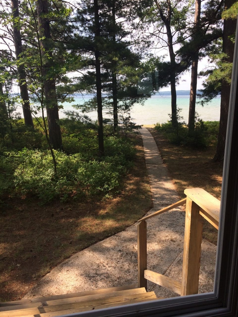 Lots of trees surround our sidewalk to beach from front door.