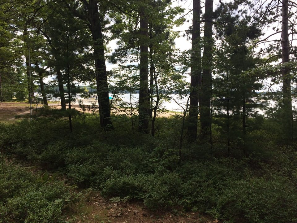 More trees and property around our property- more privacy!