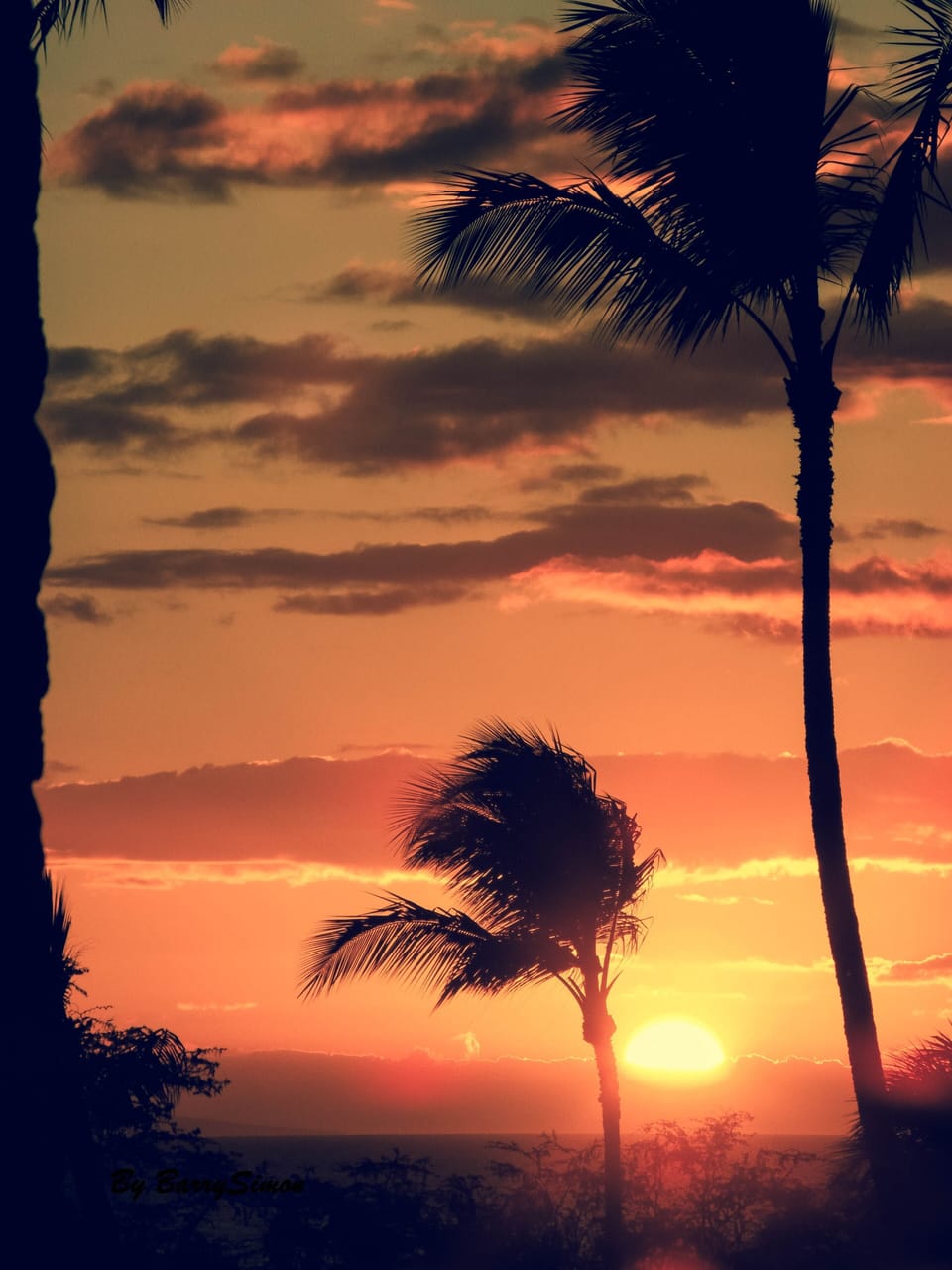 A sunset from Maui Kamaole Beach #3 is nearly an everyday occurrence!
