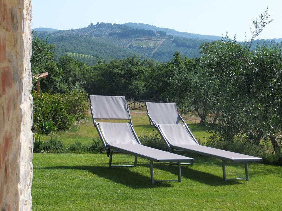 Our beautiful garden in which you can unwind by reading a book or getting a tan.