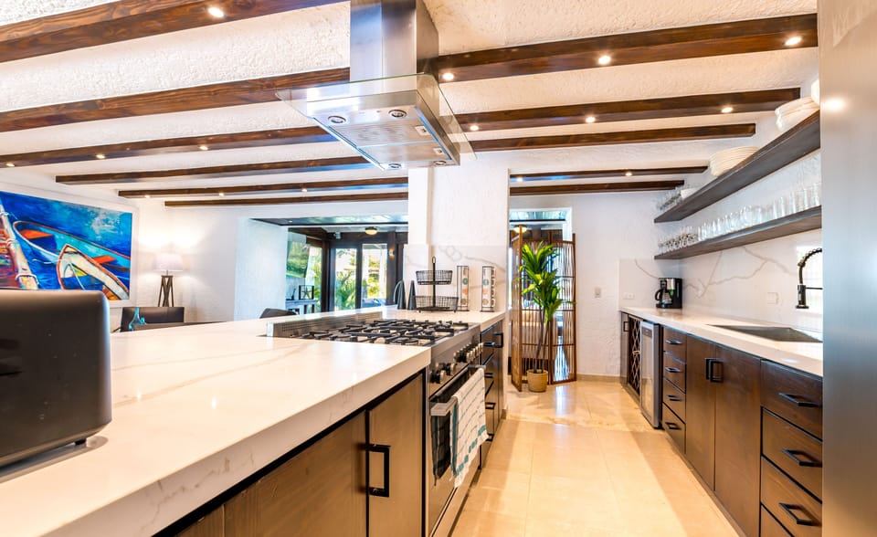 Open concept kitchen with brand new appliances & panoramic views of entire villa