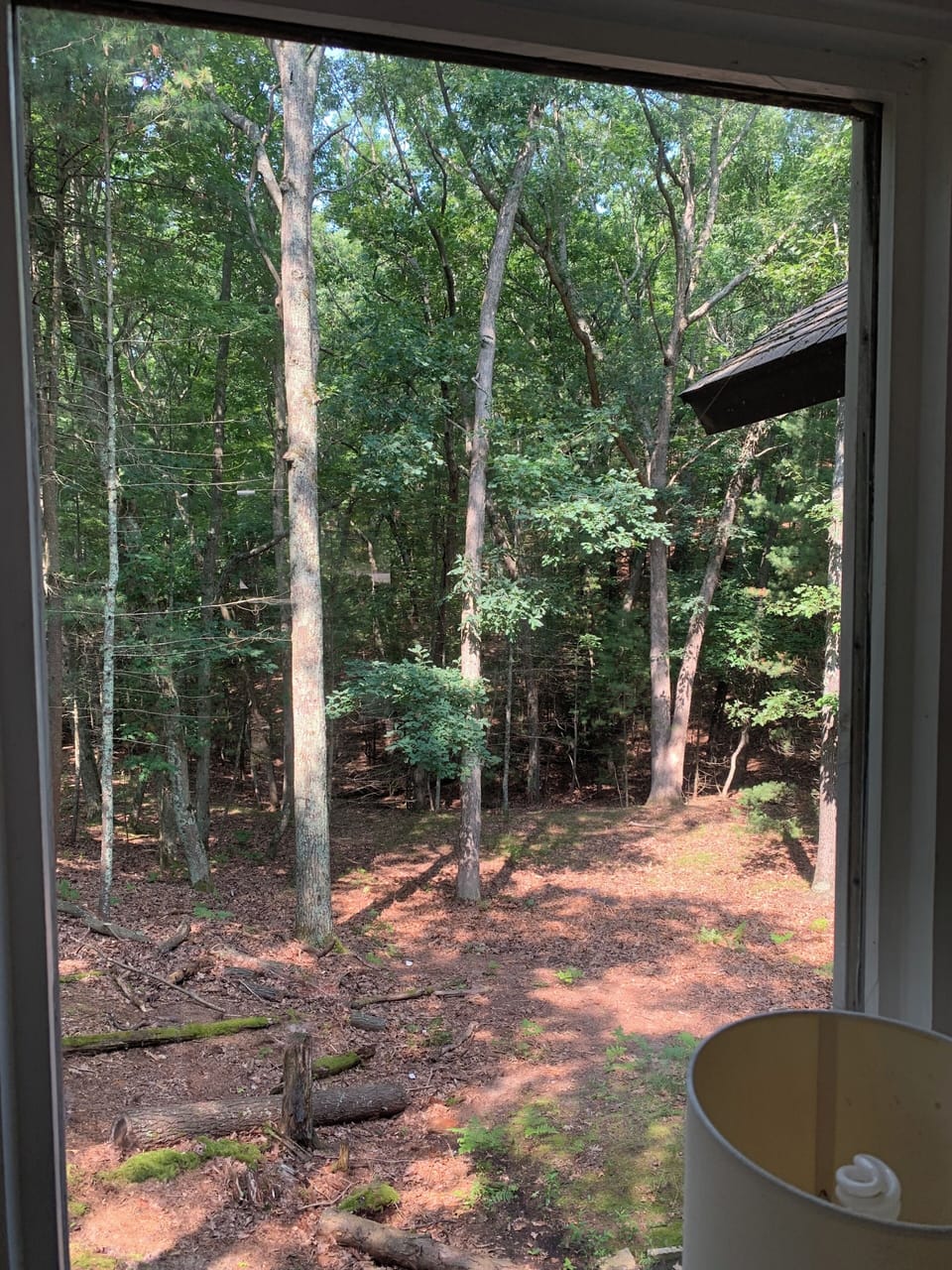 View To Backyard
