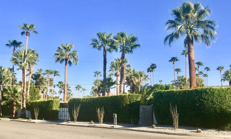 Home Totally Private with Mature Hedges
