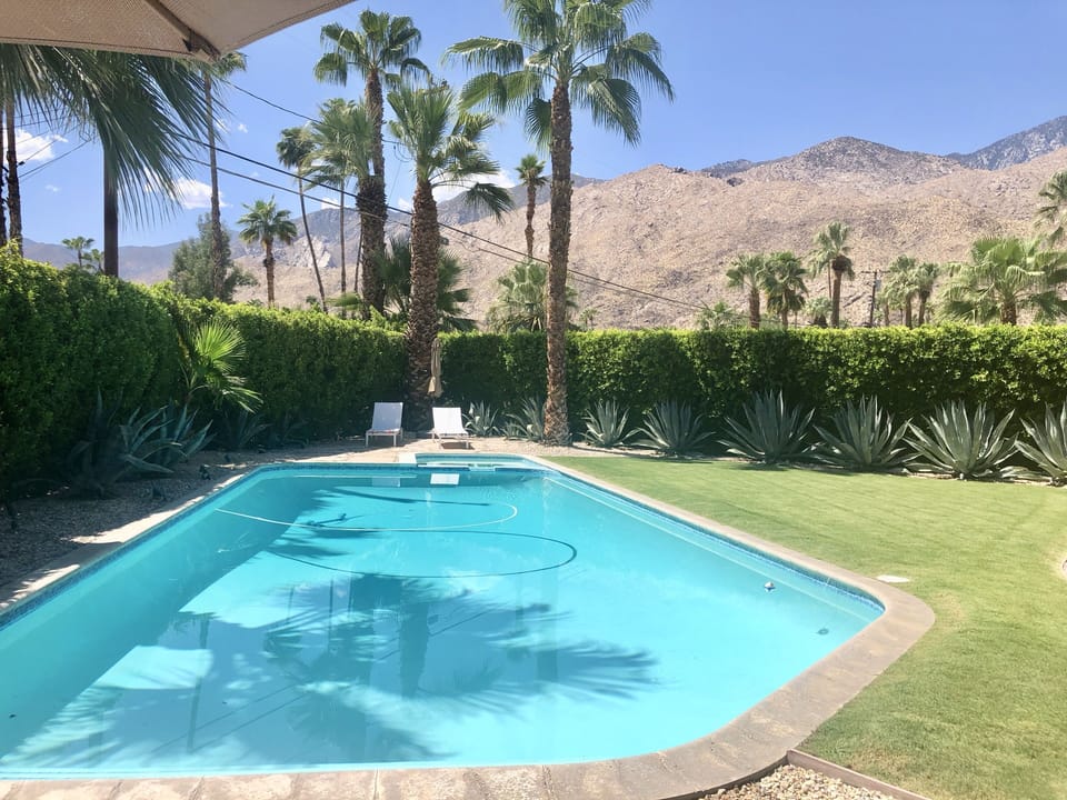 Approximately 20 x 40 Pool
