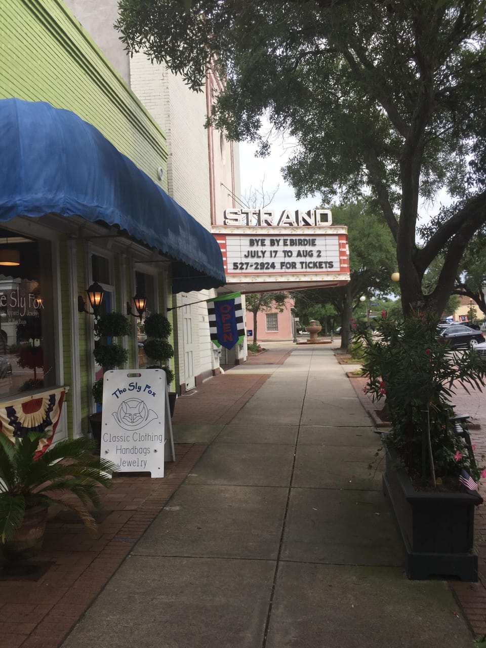 Take in a movie or a play at the historic Strand Theater.