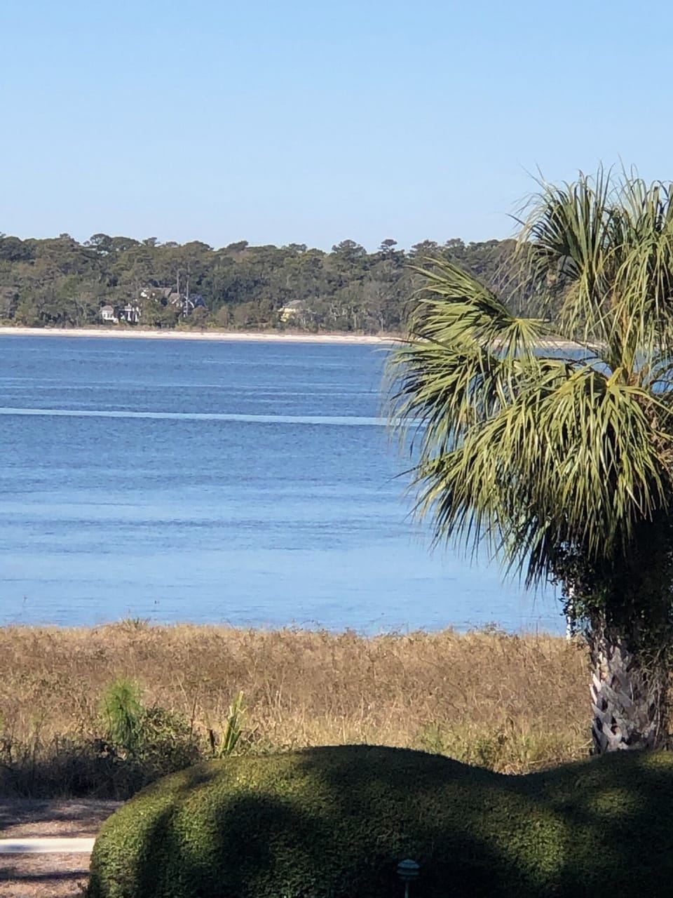 A view from our deck