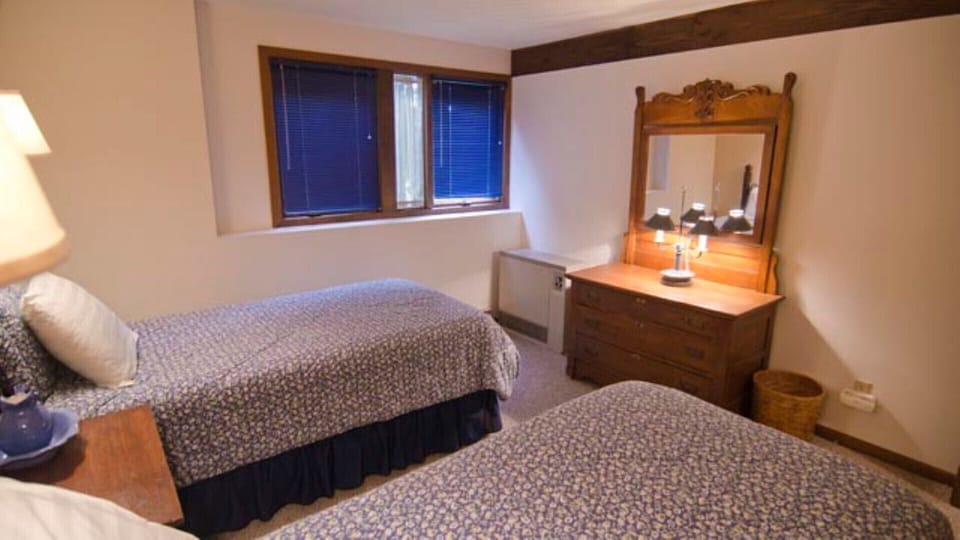 Lower level twin bedroom 