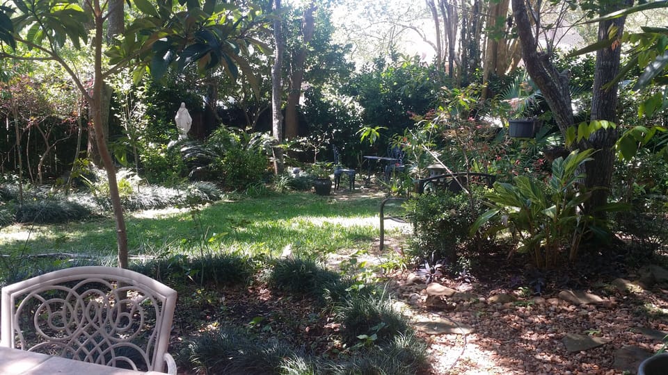 Lush backyard