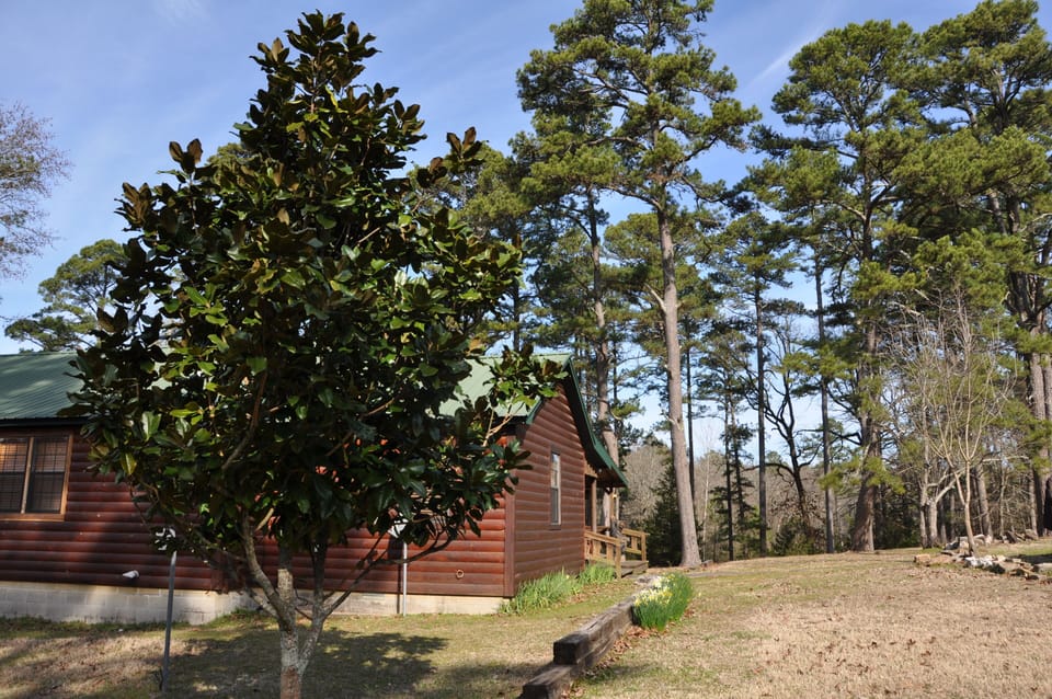 Side photo of the cabin
