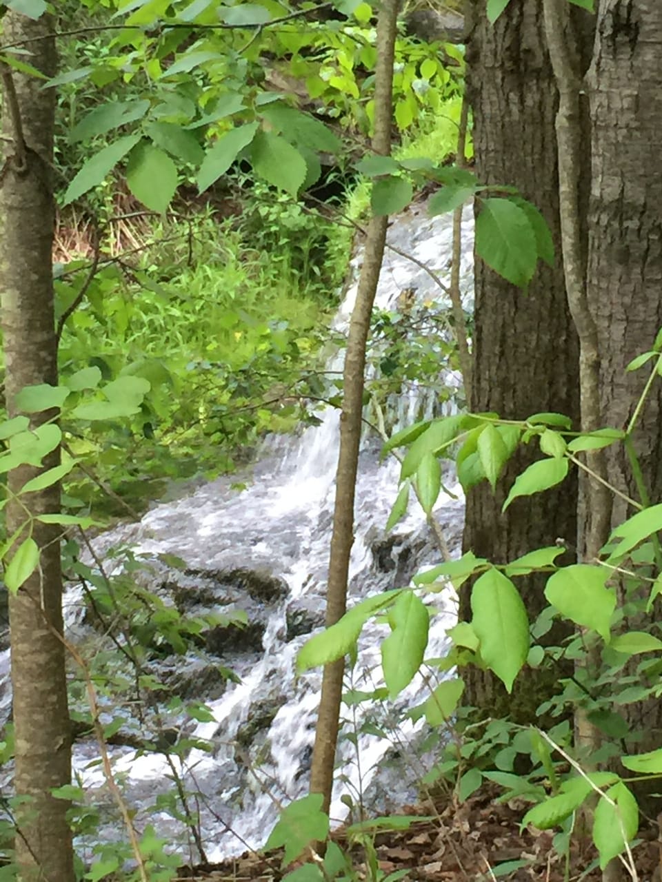 Spring view of brook/waterfall in the driveway
