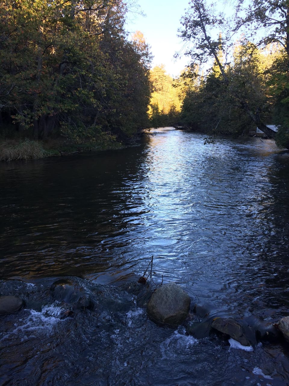 The Boardman River. It has a sand and gravel bottom.