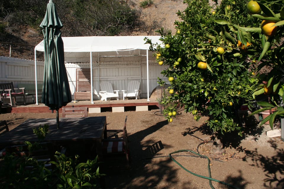 fenced citrus orchard with bean bag toss