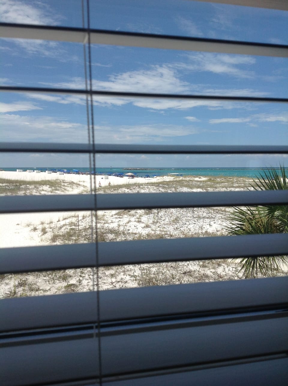 View of the beach from our living room window.