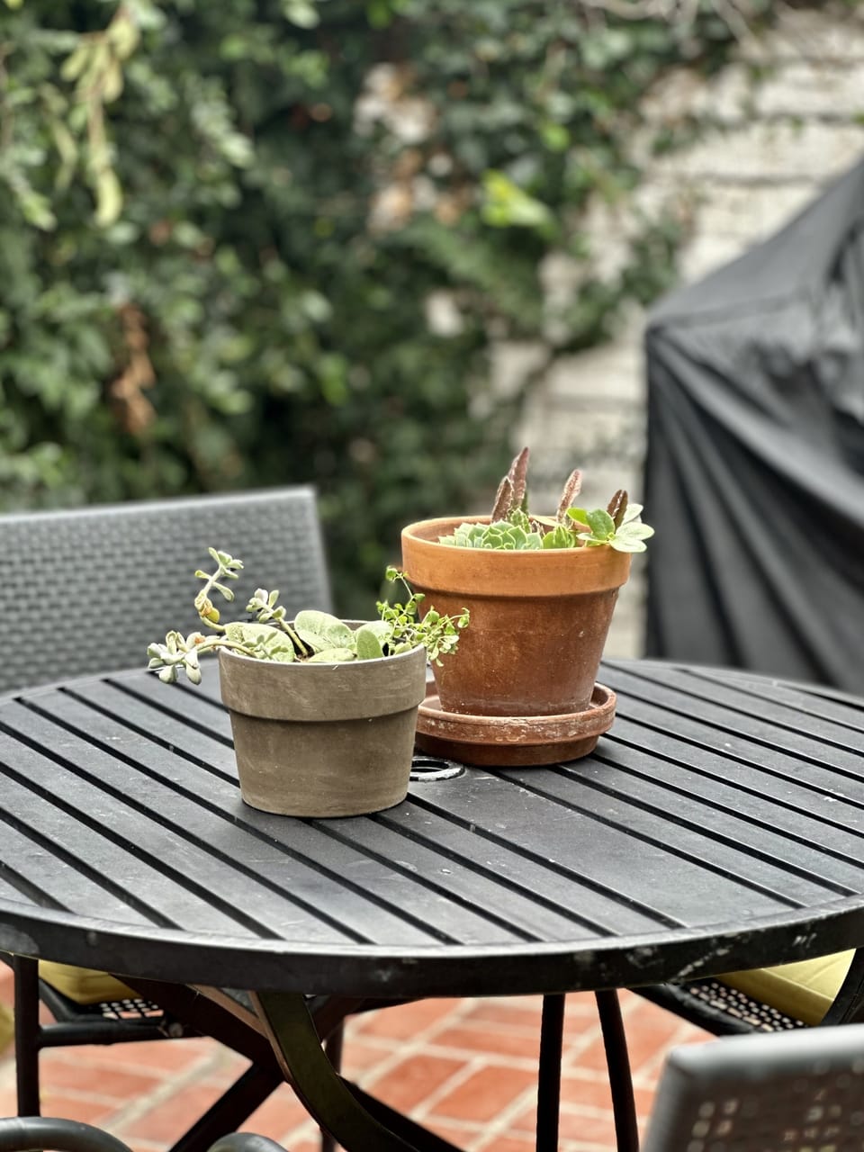 Cook or bring dinner home to eat and relax.