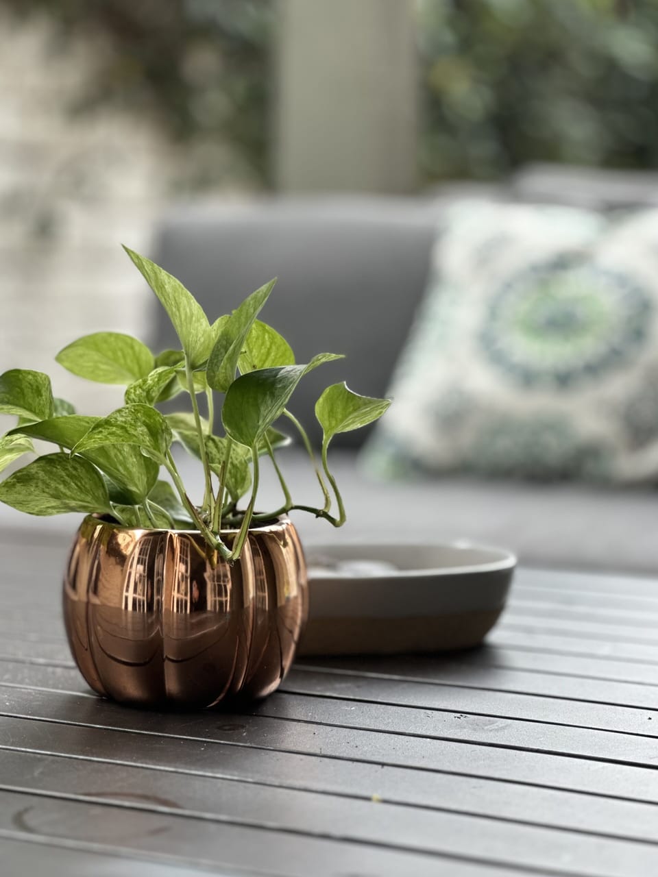 Interior backyard is a great place to relax.