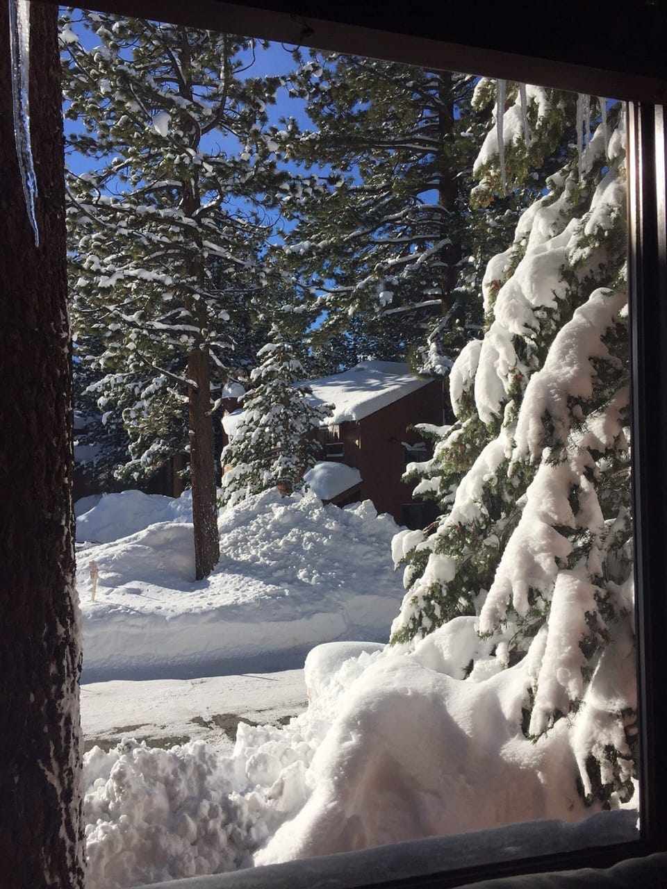 View from living room window