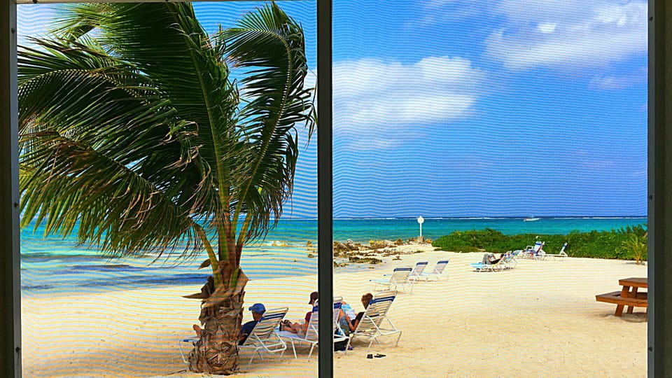 relax and enjoy