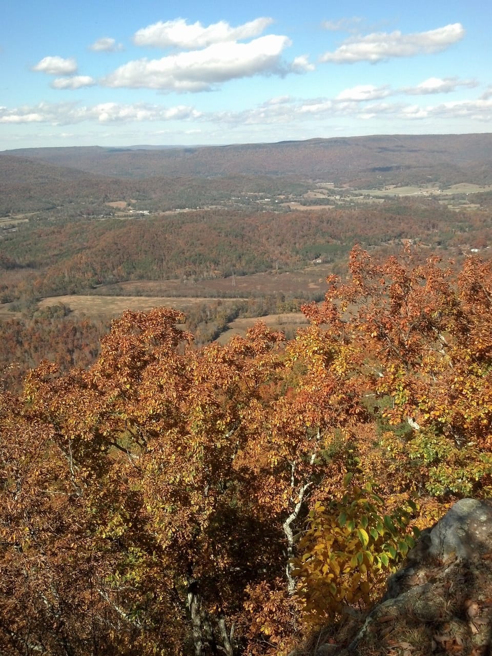 Clear Fall Day