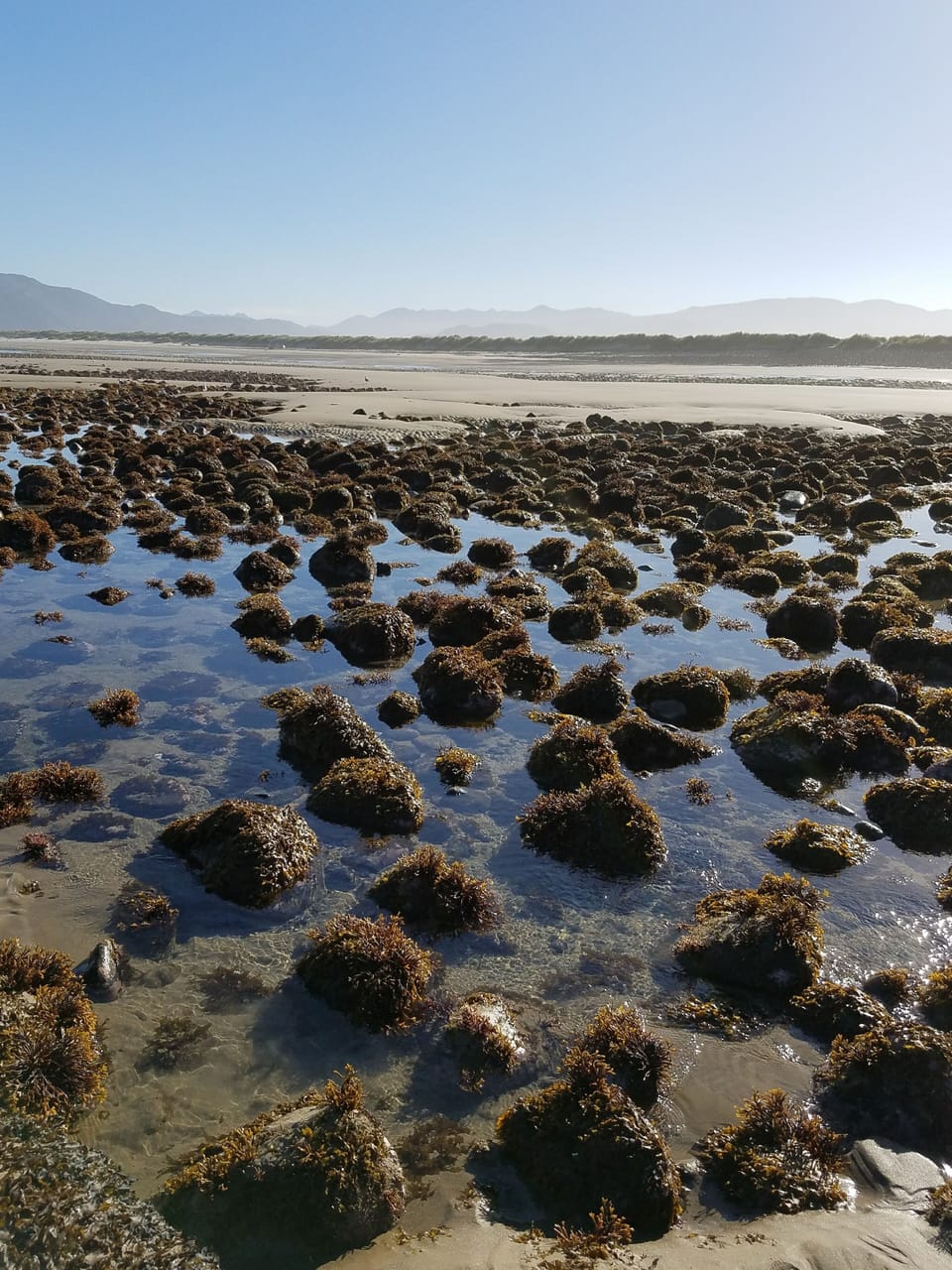 tidepools - short walk from the house