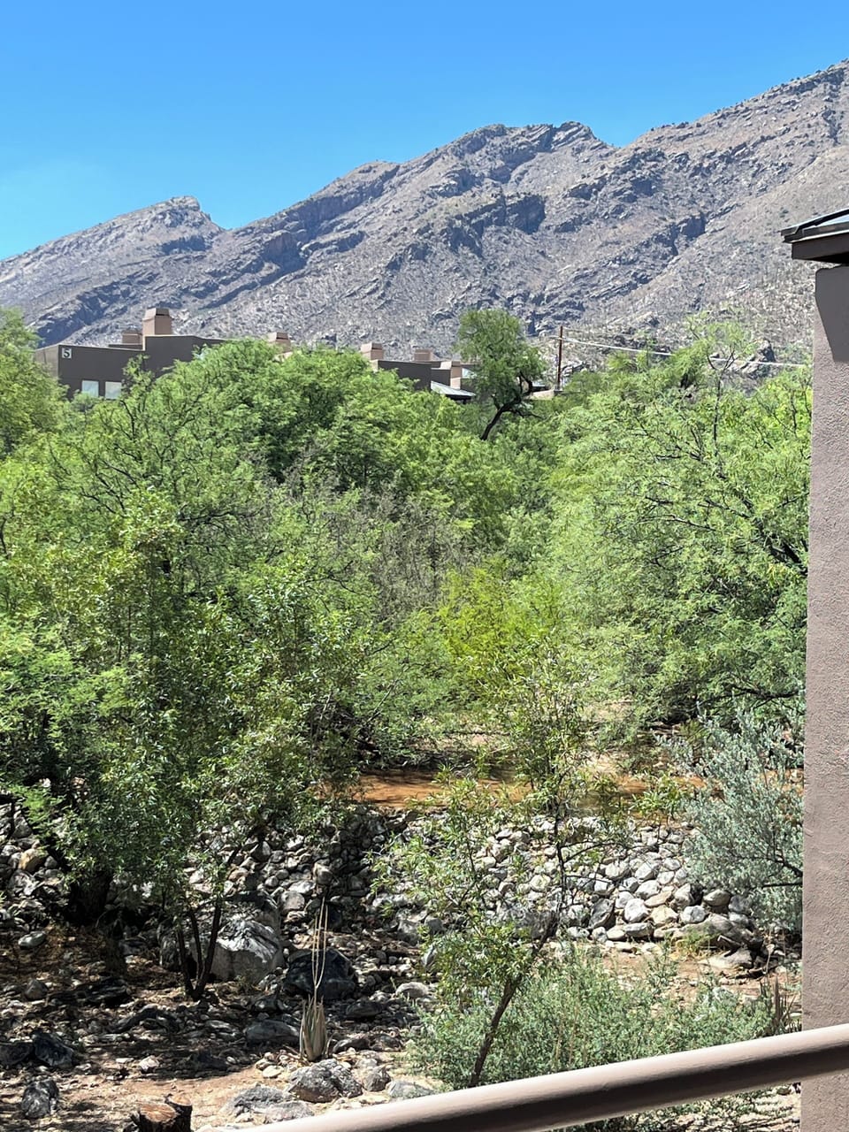 View from property
