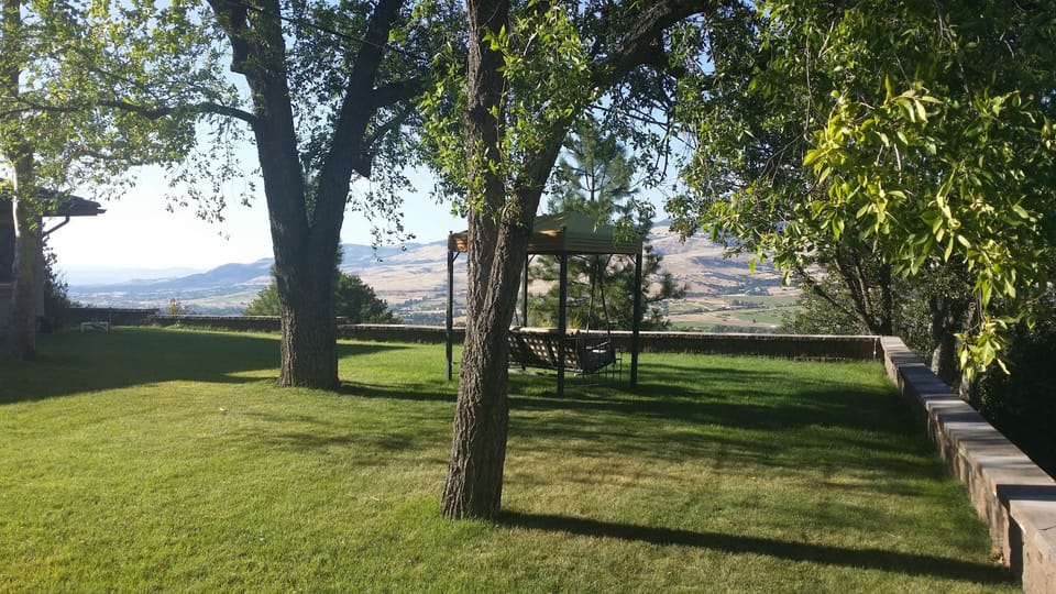 yard looking north