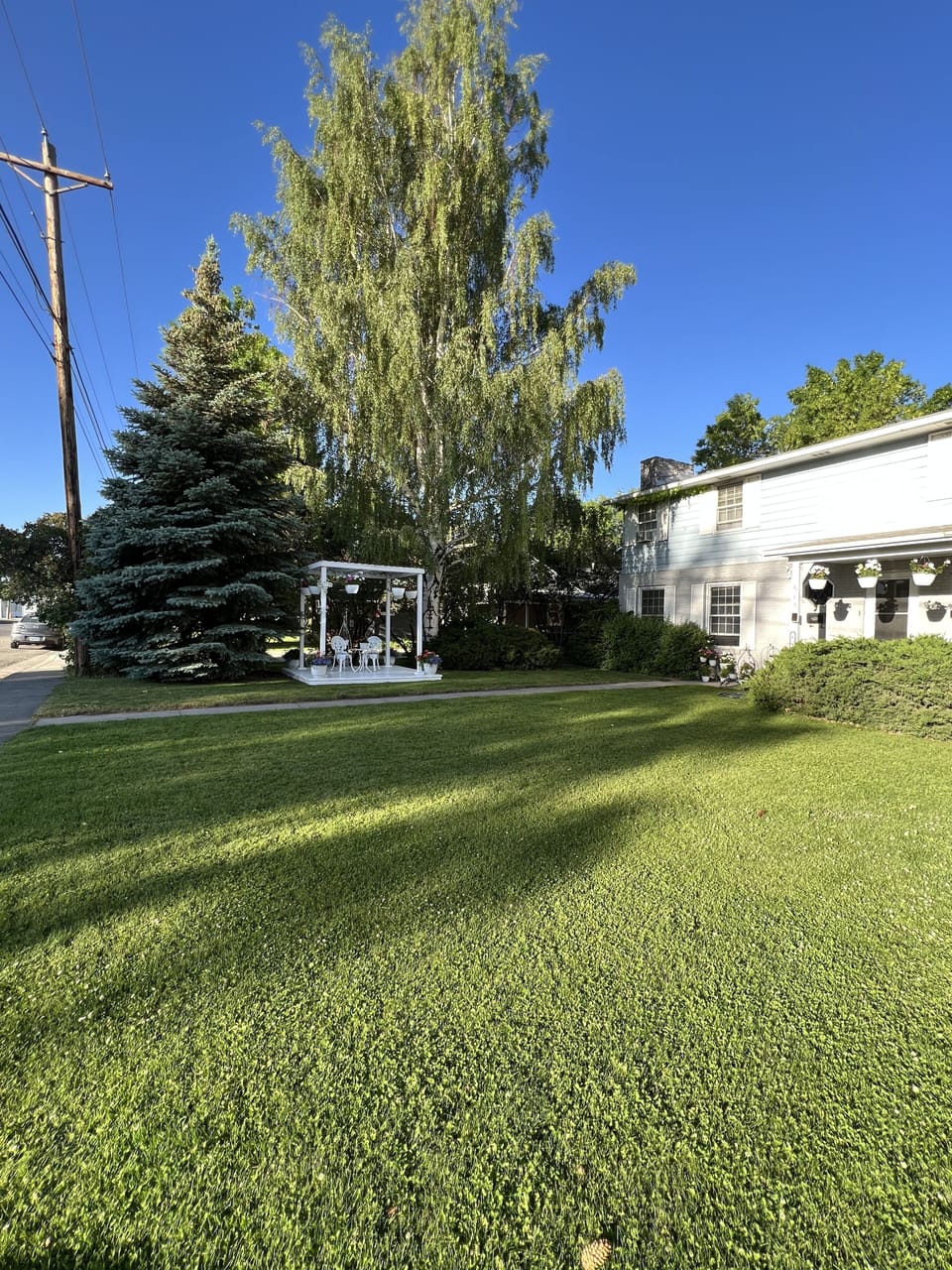 Roney Guest House Front Yard with Parking