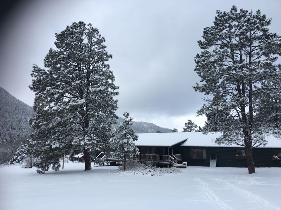 Paradise Ranch back yard borders National Forest