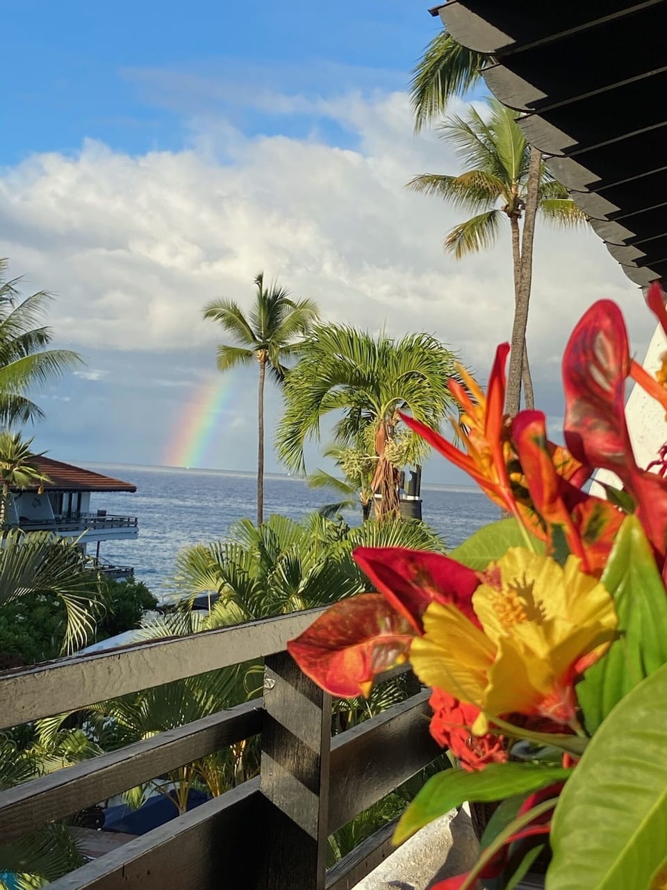 You will often see rainbows from our lanai.
