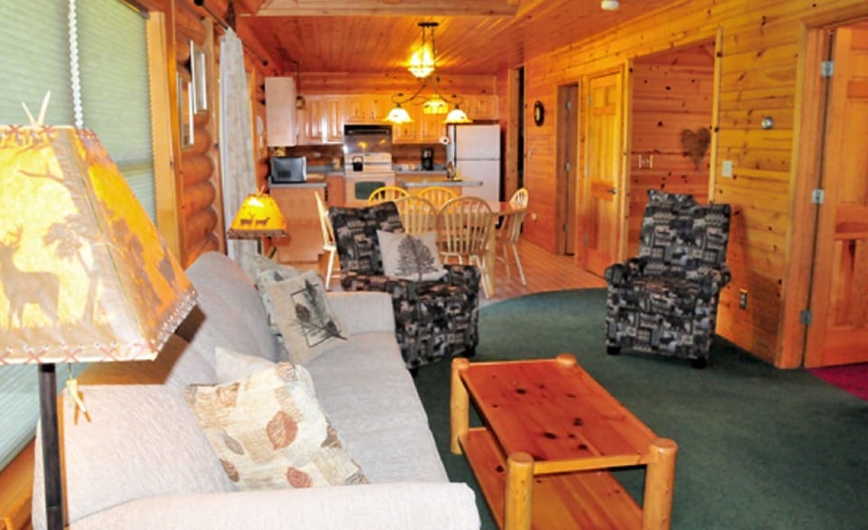 Living room and kitchen