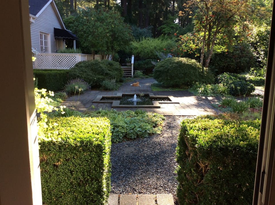 View from the front door...