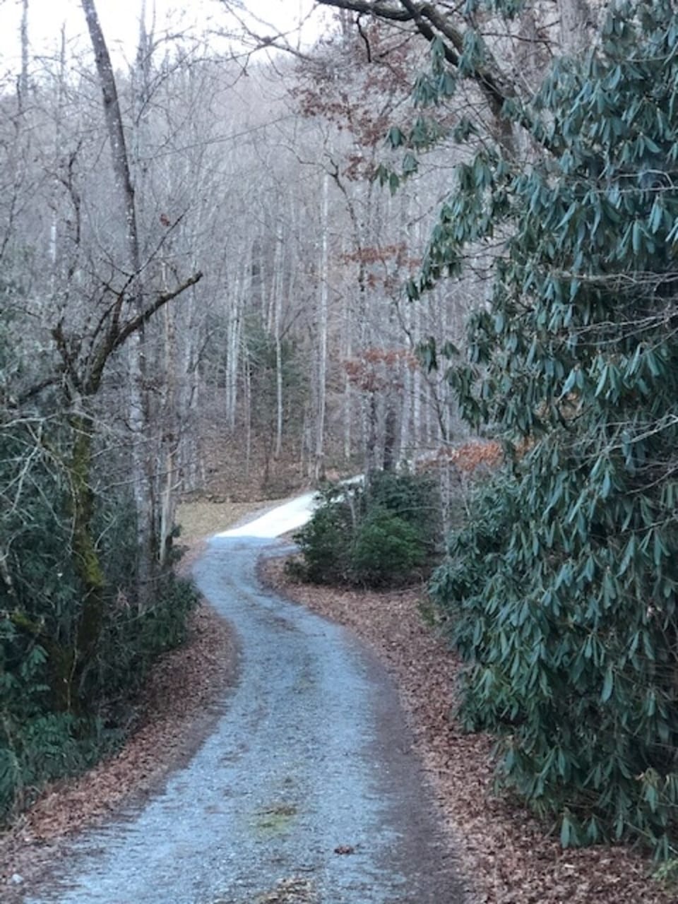 Image from Road to concrete driveway leads to the front of the house.  