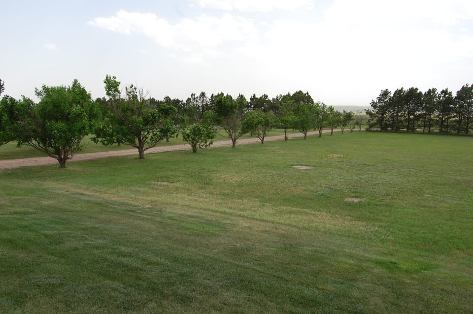 Driveway from Front Porch