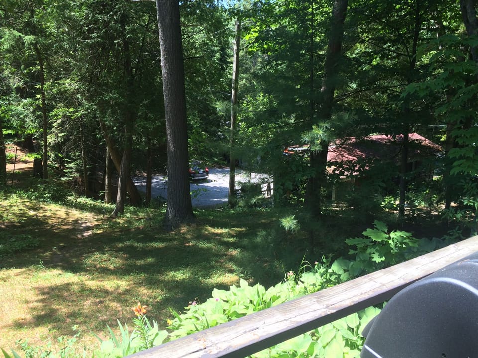 View from deck