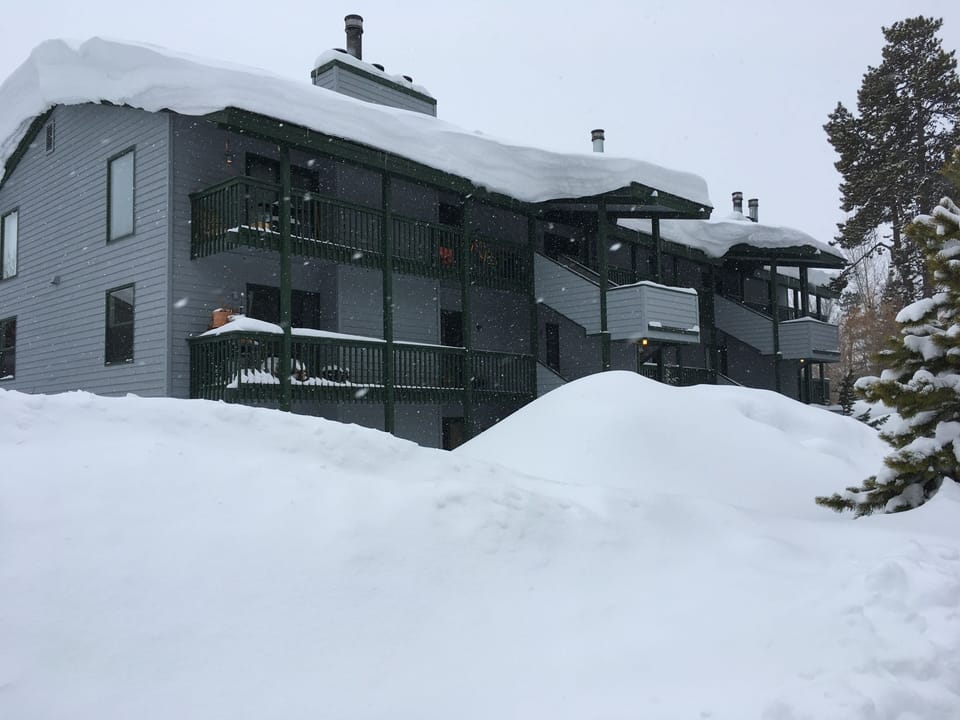 Spruces building in the winter