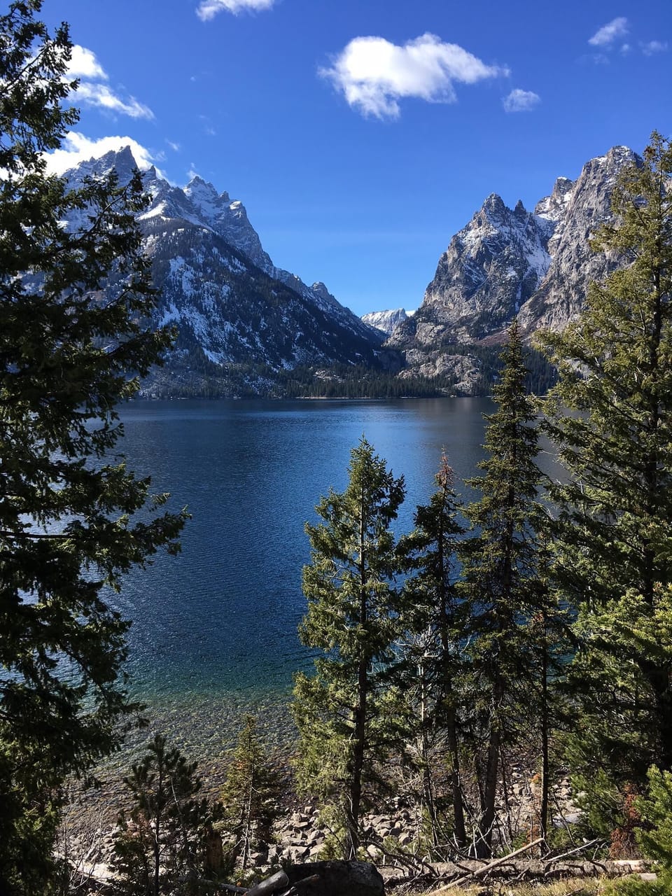 Jenny Lake