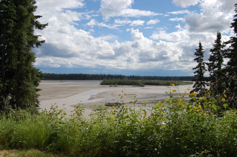 Tanana River from back yard patio