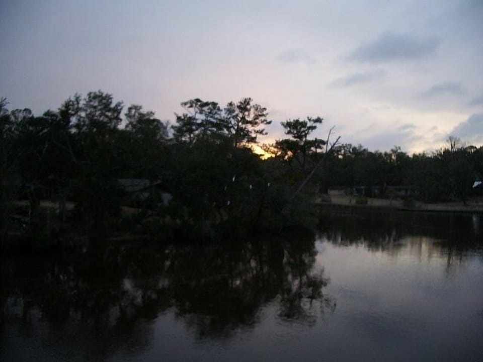 Dophins often come up this far to feed on the plentiful mullet.