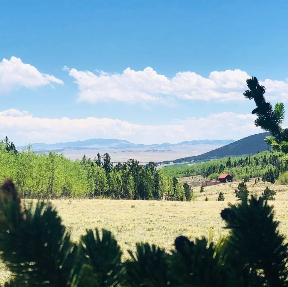 Entering the national forest from the ranch trail.