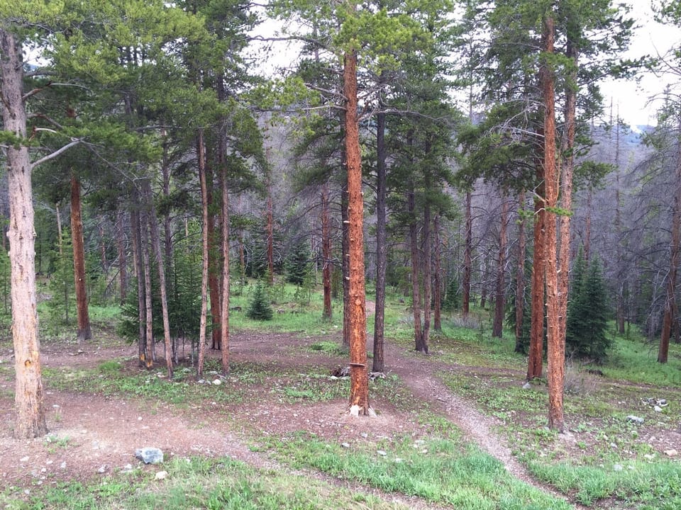 Outside door - hiking trails or ski down to Green run