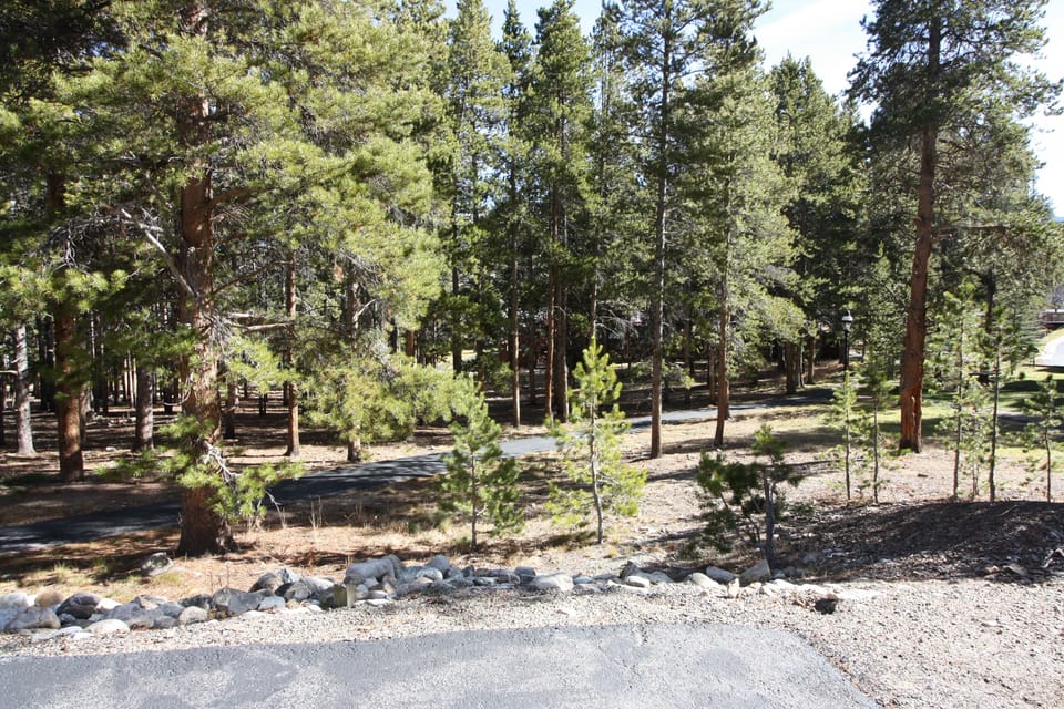 Back Parking Lot