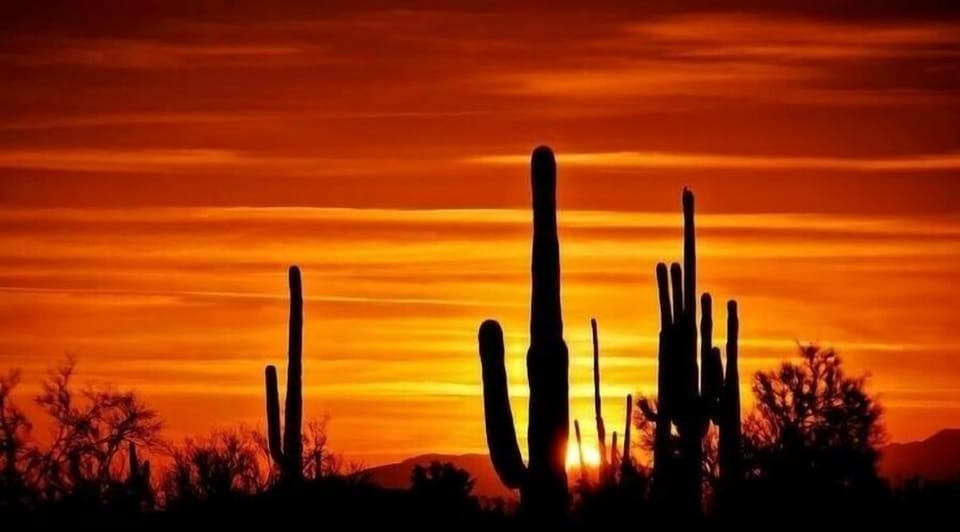 Sunset in Chandler